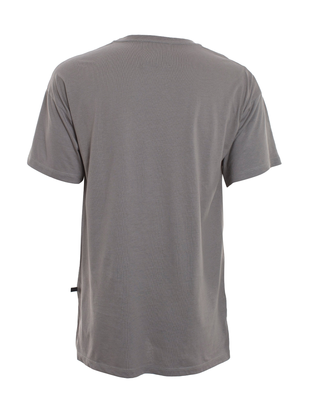 Polera Dylan x Lenny gris