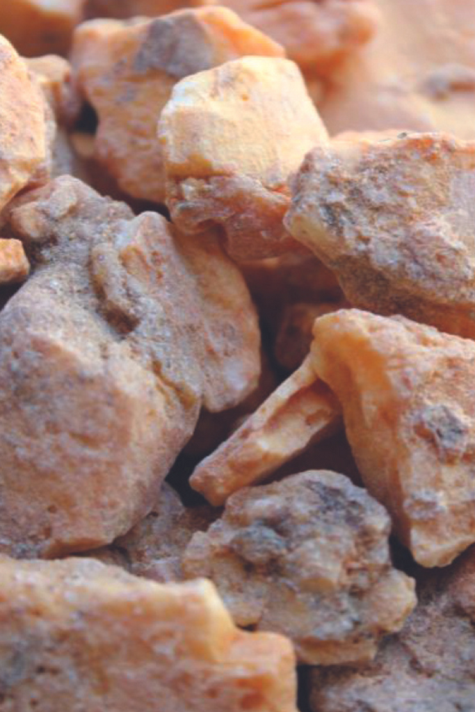 Cologne Intense Jasmine Sambac & Marigold 100 ml